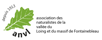 Logo Association des Naturalistes de la Vallée du Loing et du massif de Fontainebleau
